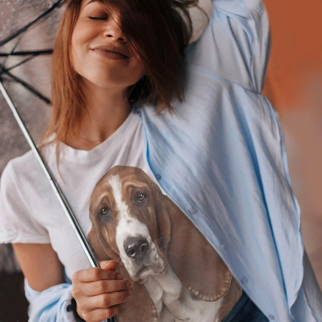 Basset T-Shirt Women